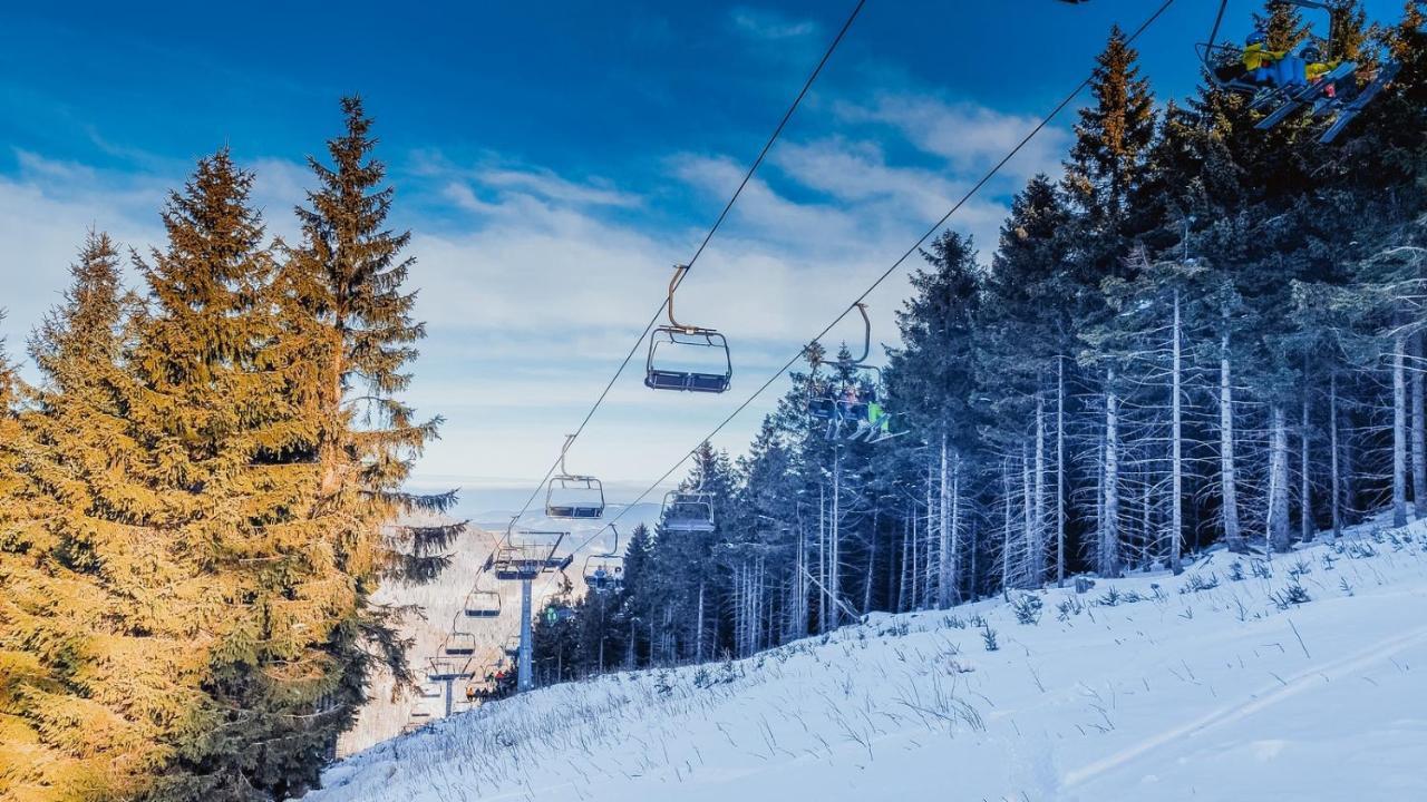 Pod Mravenecnikem * Loučná nad Desnou