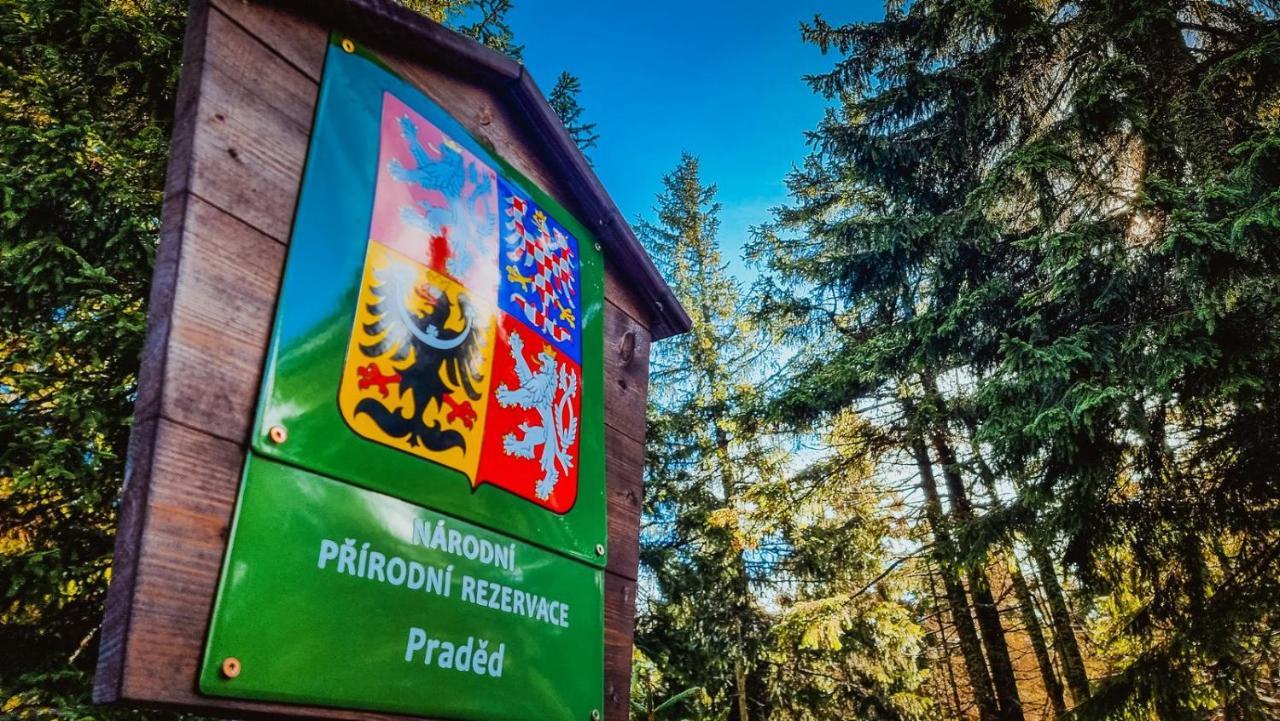Lodge Pod Mravenecnikem Loučná nad Desnou